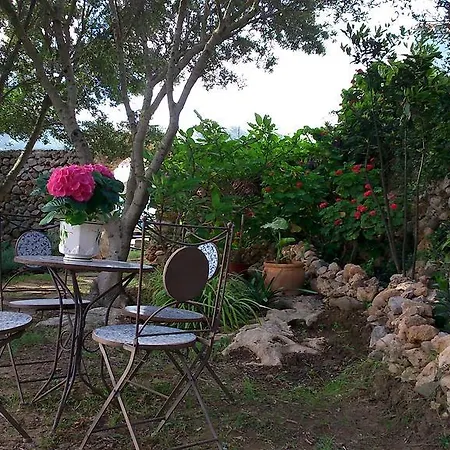 Agroturismo Sa Torre Blanca Agroturismo *