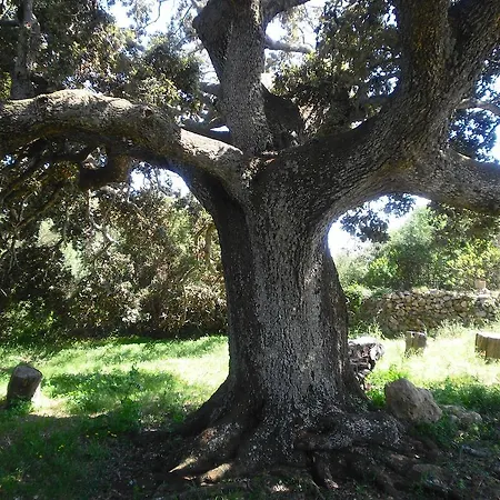 Farm stay Agroturismo Sa Torre Blanca